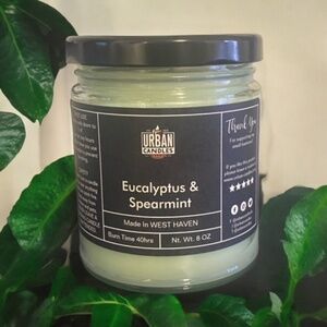 Eucalyptus & Spearmint Scented Candle 8 oz